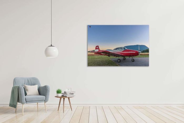 Photo poster A4 du Navion HB-ESB