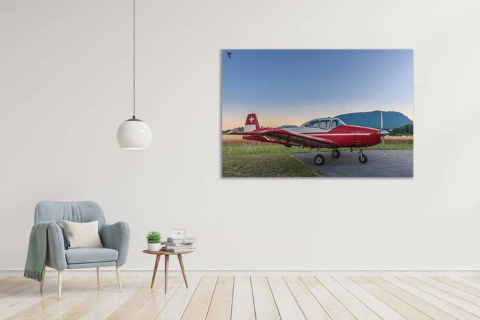 Photo poster 50x70cm du Navion HB-ESB