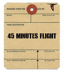 Vol de 45 minutes en Navion
